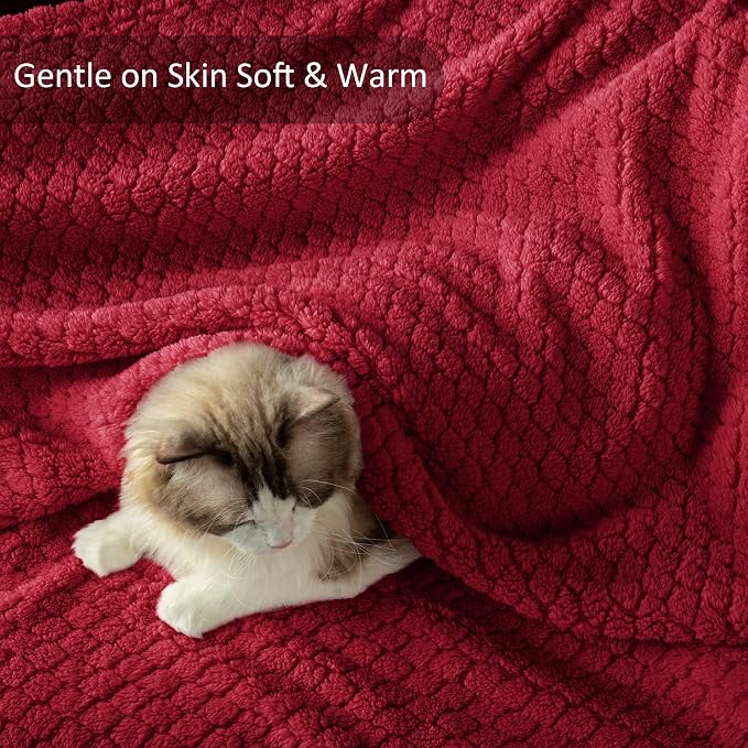 Exclusivo Mezcla Soft Fleece Queen Size Blanket for Bed, Deep Red | Jacquard Lightweight Cozy Bed Blanket, Breathable Decorative Fuzzy Textured All Season Use, 90x90 Inches
