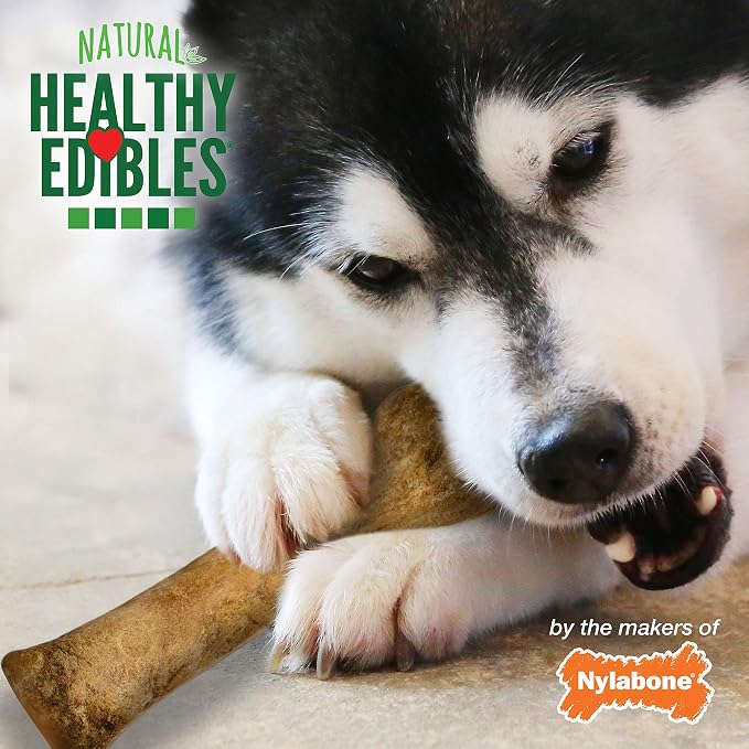 Nylabone Healthy Edibles Dog Treats, Bacon Flavor, X-Large, 4 Count | Natural dog chews, occupying & long lasting dog treats, made in the USA, highly digestible, dog bones for large dogs 50+ lbs