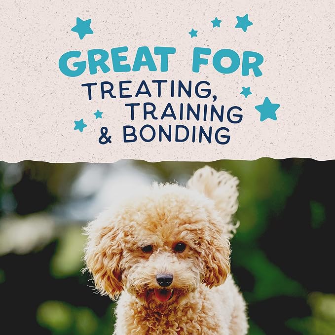 Natural Balance Rewards Minis, Training Treats for Dogs, Turkey, 5.3 oz | Grain-Free Treats, Limited-Ingredient Recipe, Perfectly Sized for Rewarding Dogs Through the Day