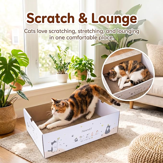PatiencET Cat Scratch Pad with Box, Corrugated Cardboard Scratcher | Raised edges, less mess, cozy lounge, furniture protection, double-sided scratch surface, replaceable design, catnip included