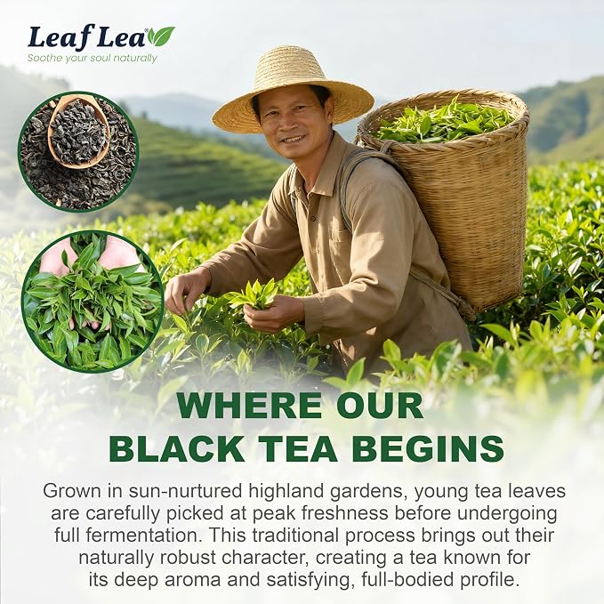 LeafLea Premium Black Tea Bags, Rich Robust Loose-Leaf Style Brew, 80 Count | Smooth Naturally Caffeinated Cup, Bright Malty Body, Hot or Iced; Sugar-Free, Vegan; Foil-Sealed Freshness