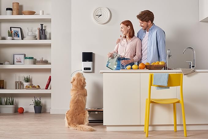 [2017 Item ] Petcube Bites Pet Camera with Treat Dispenser: HD 1080p Video Monitor, 2-Way Audio, Night Vision, Sound and Motion Alerts. For Dogs and Cats, Matte Silver (PB913NVTD)
