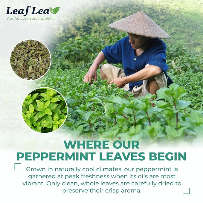 LeafLea Peppermint Tea Bags, Pure Single-Ingredient Mint Tea, 40 Count | Just Real Peppermint Leaves, Cool Refreshing Taste, Te De Menta, Caffeine-Free, Vegan, Individually Foil-Wrapped