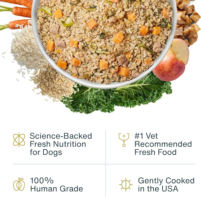 JustFoodForDogs Pantry Fresh Wet Dog Food,Complete Meal or Dog Food Topper,Chicken & White Rice Human Grade-Dog-Food Recipe - 12.5 oz,(Pack of 24)