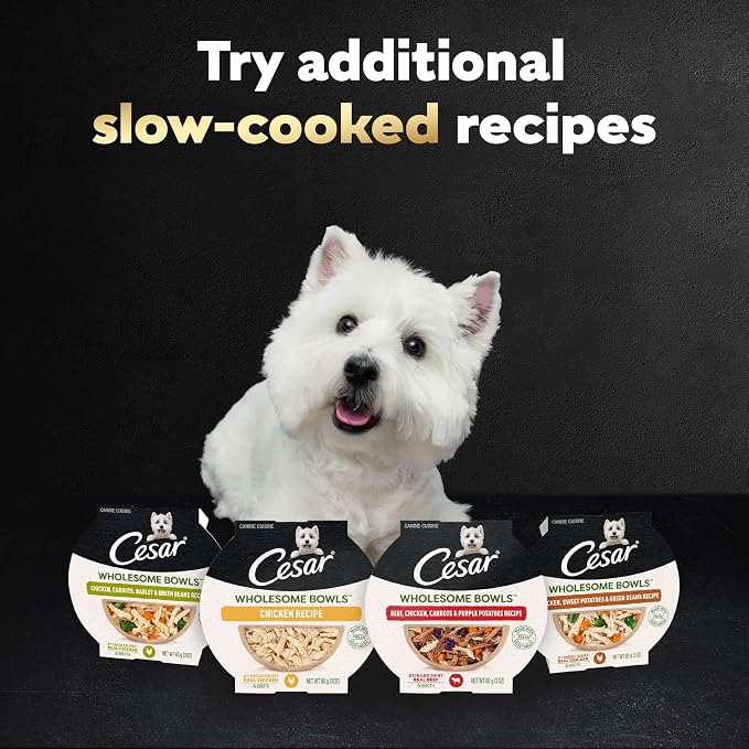 Cesar Wholesome Bowls Wet Dog Food, Beef & Purple Potatoes, 3 oz, 10 Count | Real beef #1 ingredient, slow-cooked, no by-products or artificial flavors, 10 key ingredients, easy to digest