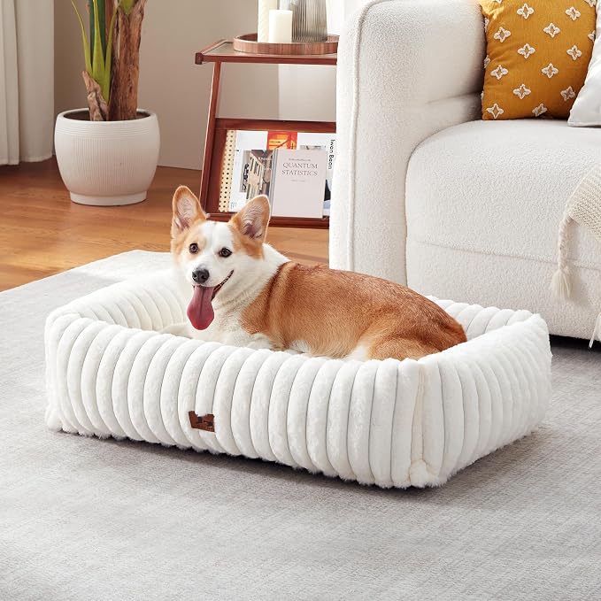 Dog Bed Medium Size Dog, Rectangle Orthopedic Pet Bed for Car and Indoor, Comfort Fluffy Memory Foam Dog Beds with Anti-Slip Bottom, Cream (30x24x8 inches)