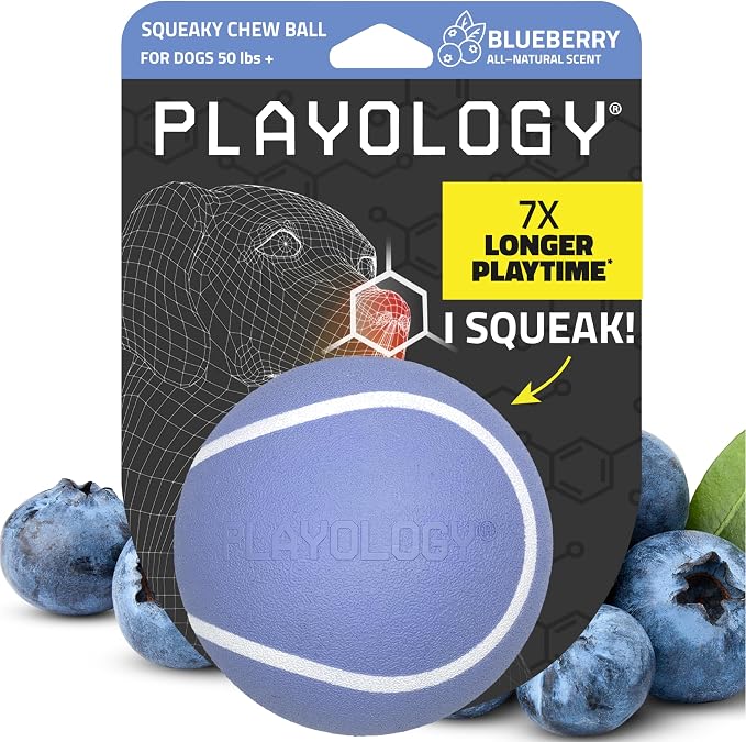 Playology Squeaky Chew Ball Dog Toy - Jumbo, Blueberry Scent