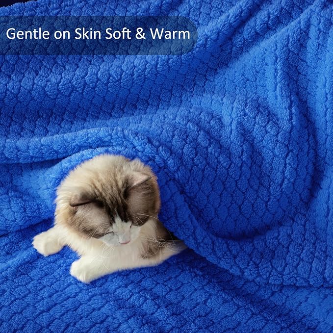 Exclusivo Mezcla Soft Fleece Queen Size Blanket for Bed, Cobalt Blue | Jacquard Lightweight Cozy Bed Blanket, Breathable Decorative Fuzzy Textured All Season Use, 90x90 Inches