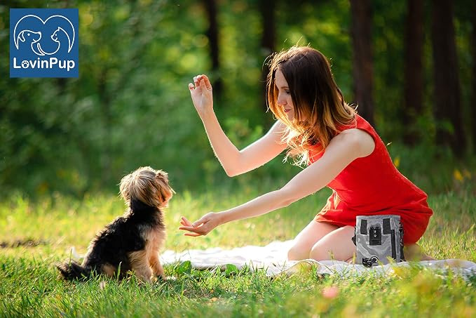 Dog Treat Training Pouch – Hands-Free, Poop Bag Dispenser (11x7.5)