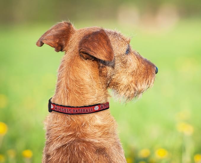 MLB Los Angeles Angels Licensed PET COLLAR- Heavy-Duty, Strong, and Durable Dog Collar. Available in 29 Baseball Teams and 4 Sizes