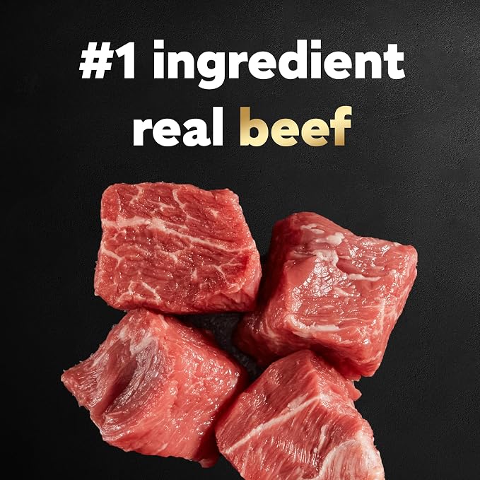 Cesar Small Breed Dry Dog Food, Porterhouse and Spring Vegetables, 5 lb | Made in USA, Real beef #1 ingredient, 26 essential nutrients, supports small breed health, no artificial flavors