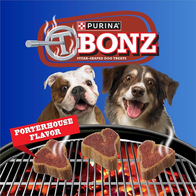 Purina T-Bonz Steak Shaped Dog Treats, Porterhouse Flavor, 45 oz Pouch | Treats for dogs made with real beef, produced in USA facilities, delicious steak flavor