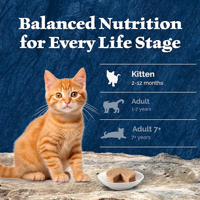Blue Buffalo Wilderness High-Protein Grain-Free Wet Kitten Food,Chicken Paté Recipe,3-oz Cans,(Pack of 48)