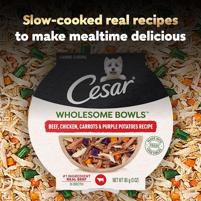 Cesar Wholesome Bowls Adult Wet Dog Food,Beef,Chicken,Purple Potatoes & Carrots,Wet Food for Dogs,3 Oz. Bowls,10 Count (Pack of 2)