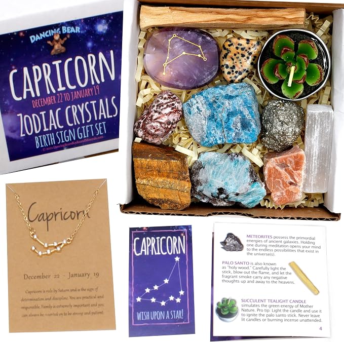 DANCING BEAR Capricorn Zodiac Healing Crystals Gift Set (14 Pc): 9 Stones, 18K Gold-plated Constellation Necklace, Meteorite, Succulent Candle, Palo Santo Smudge stick, and Info Guide, Made in the USA