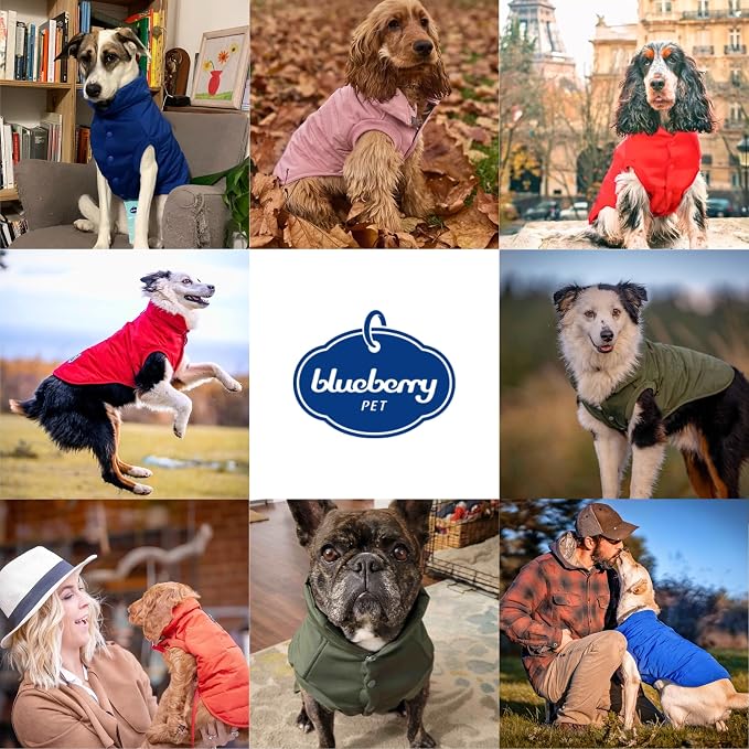 Blueberry Pet Waterproof Windproof Quilted Dog Coat – Cozy Navy Blue Winter Jacket for Medium & Large Dogs, 23" Back Length