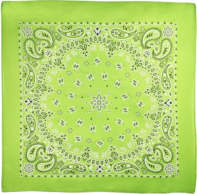 Gift Packaging Bandana for Men Women - 100% Cotton, Paisley, 22x22 In, 1 Pack - Large Bandanna Handkerchief Cowboy Hanky
