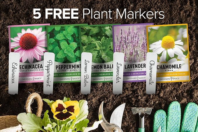 Gardeners Basics, Herbal Tea Seeds for Planting Indoors and Outdoors 5 Variety Packets Echinacea, Peppermint, Lavender, Chamomile and Lemon Balm - Great for Kitchen Herb Garden Heirloom Herb Seeds