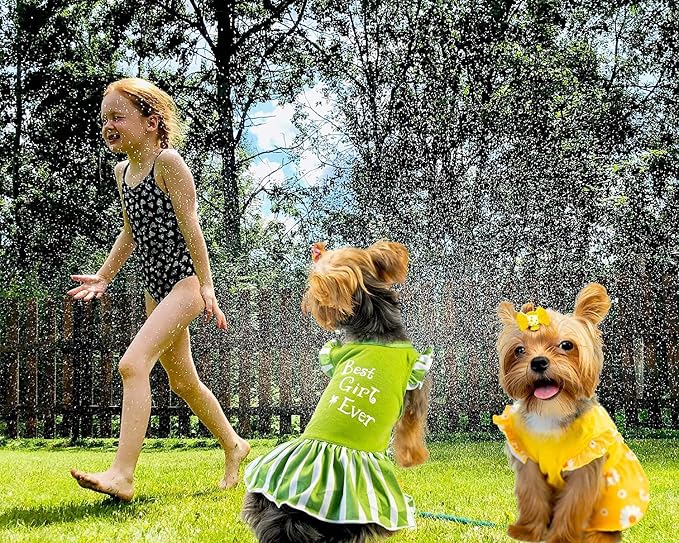 XPUDAC 4 Pieces Dog Dress Girl Clothes for Dogs Girl Flower Dresses for Small Dogs Apparel Colorful Small Dog Clothes Female (Medium, 4 Flower)