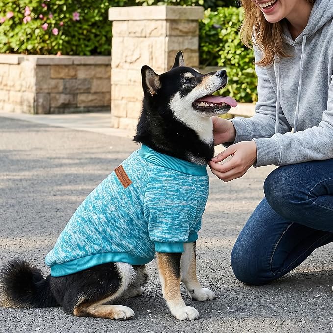 2 Pack Dog Sweaters for Small Dogs Girl Boy Winter Fleece Clothes Warm Soft Dog Sweatshirt Outfit for Dogs Cats Pet Apparel (Light Blue+Matcha Green, S (Back: 11.8", Chest: 15.7", 5.5-10 lbs))
