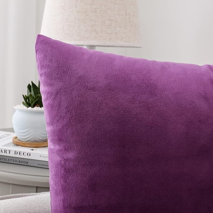NiNi ALL Decorative Throw Pillow Covers Pack of 2, Velvet Throw Pillow Cases for Couch Pillows Cover Bedroom Living Room Outdoor, Pillow Covers 18x18 Inch Purple
