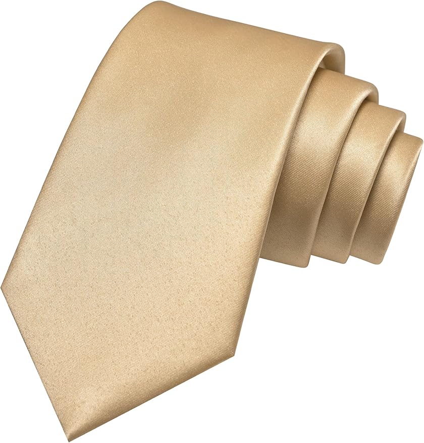 JEMYGINS Solid Color Tie Mens Necktie for Business and Wedding