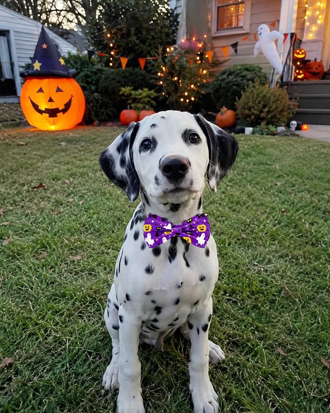 PET SHOW 5 Pack Halloween Dog Bowties for Large Dogs Slide on Collar