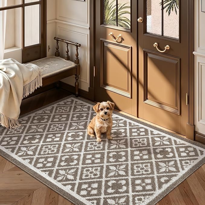 Ileading Indoor Door Mat 3x5ft Absorbent Dog Mats for Muddy Paws,Machine Washable Small Living Room Area Rug with Non-Slip Rubber Backing Low-Profile Inside Carpet for Hallway,Entryway,Kitchen(Brown)