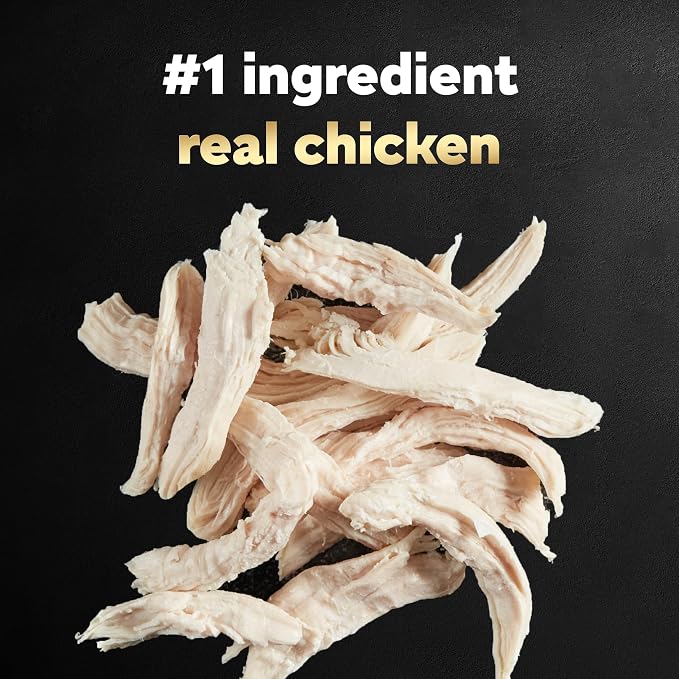 Cesar Wholesome Bowls Wet Dog Food, Chicken Recipe, 3 oz, 10 Count | Real chicken #1 ingredient, slow-cooked, 7 key ingredients, no by-products or artificial flavors, easy to digest