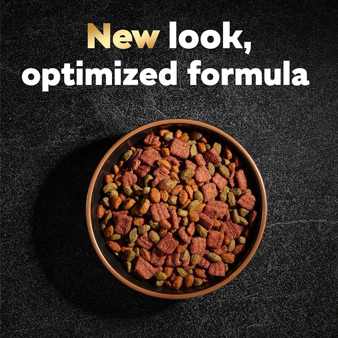 Cesar Small Breed Dry Dog Food, Filet Mignon & Spring Vegetables, 12 lb | Made in USA, Real beef #1 ingredient, 26 essential nutrients, supports small breed health, no artificial flavors