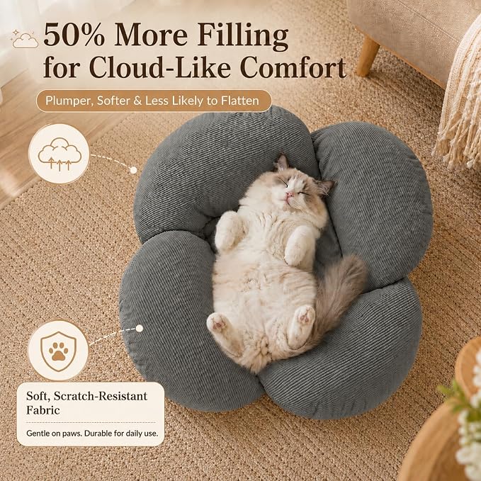 Elevated Cat Bed Wooden Frame, Sofa Furniture with Washable Cushion (Gray) | Soft Beds with Extra Filling prevent flattening, while Stable Wooden Frame with Base Board supports 50 lbs for Kitty & Puppy.