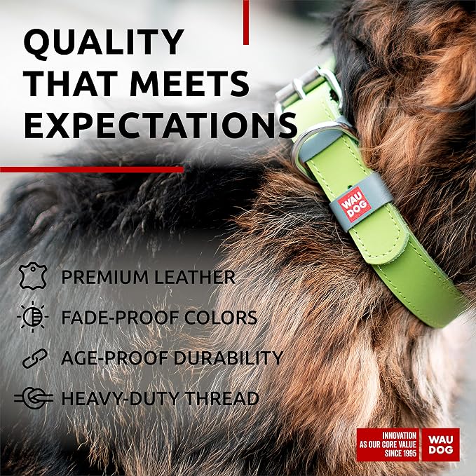 WAUDOG Genuine Leather Dog Collar Adjustable Large Medium Small QR Code Tag