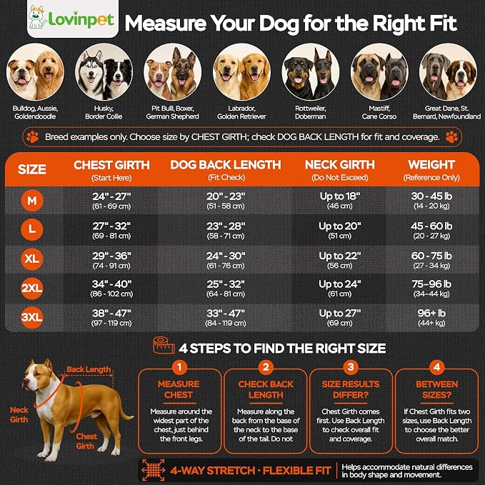 LovinPet UPF 150+ Dog Sun Shirt, Sleeveless High Neck Cooling UV Protection Clothes for Medium Breeds, Quick Dry Lightweight Outdoor Vest with Breathable Belly Panel, Gray, M