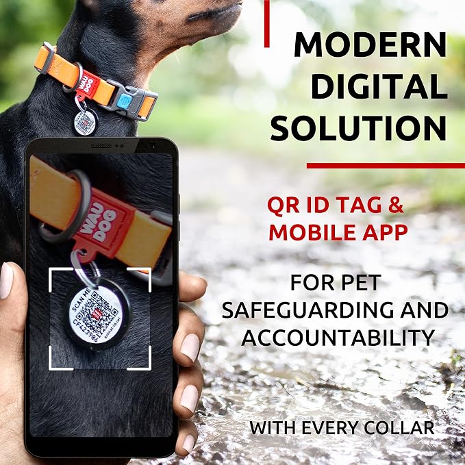 WAUDOG Waterproof Dog Collar Airtag Holder QR Tag Small Medium Large Dogs | Water and Dirt Resistant, Quick Dry QR Pet Tag Adjustable Durable Comfort for Male and Female Dogs Outdoor Walking Training