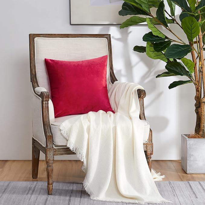 GIGIZAZA Red Velvet Pillow Covers 20x20 Decorative Pillows Pack of 2 | Throw Pillows for Couch Sofa,280gsm Soft Textured Fabric,Modern Square Pillowcases,Luxury Cushion Covers