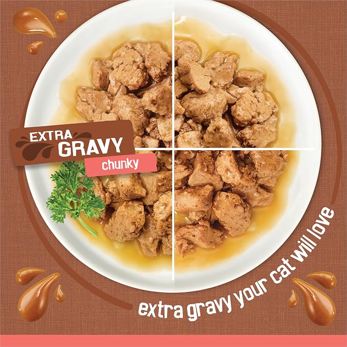 Purina Friskies Extra Gravy Wet Cat Food Chunky 24ct Variety Pack (With Chicken, Turkey, Salmon, Beef) - (Pack of 24) 5.5 oz. Cans