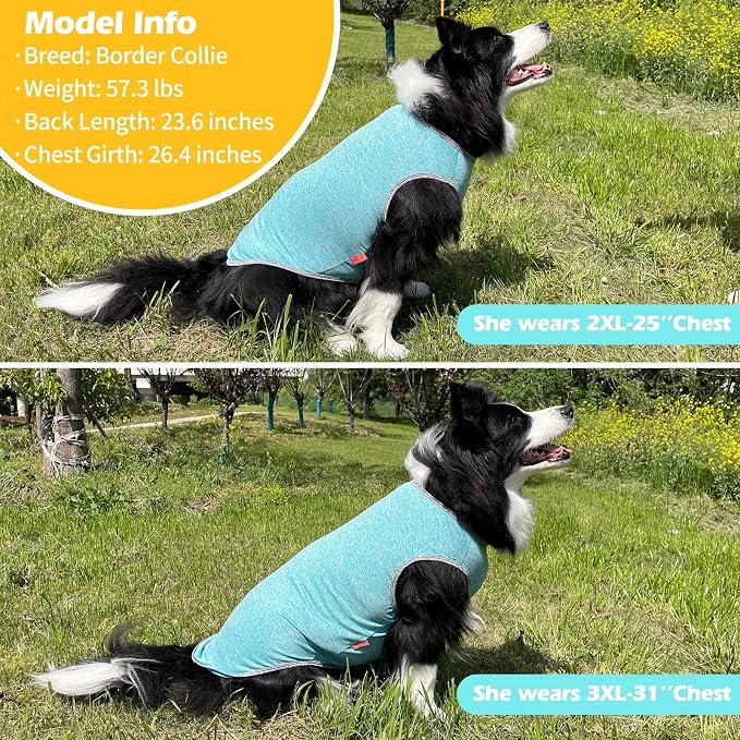 KYEESE 2Pack Dog Shirt for Large Dogs Sun Protection Tank Top for Summer | Reflective for Safety, Lightweight & Breathable, Shedding Control, Skin-Friendly for Sensitive Dogs, Easy On/Off, Quick Dry