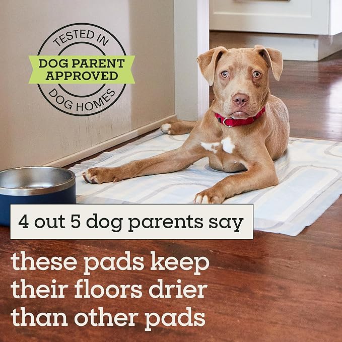 Pet Life Unlimited Smart Prints XL Puppy Pads for Dogs, Potty Training Pee Pads, 26 Count, 26" x 30", Leak-Proof, Super Absorbent, Quick-Dry, Patterned Pads with Odor Control, Made in USA
