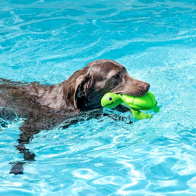 Fringe Studio Snappy Floating Dog Toys, Pet Shop Collection (640008)