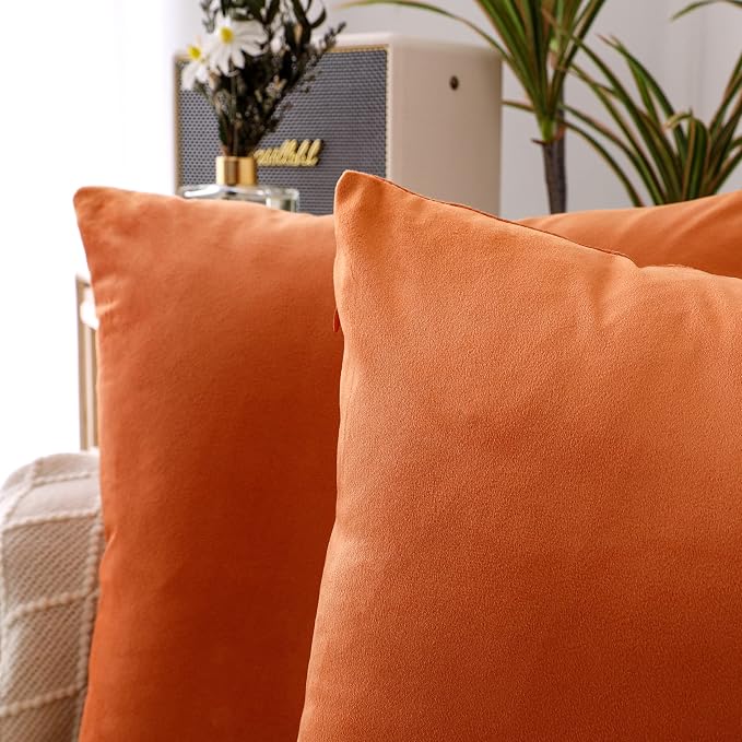NiNi ALL Orange Velvet Throw Pillow Covers 18x18 Pack of 2 Decorative Couch