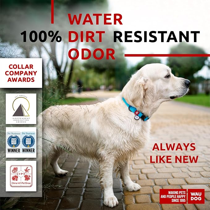 WAUDOG Waterproof Dog Collar Airtag Holder QR Tag Small Medium Large Dogs | Water and Dirt Resistant, Quick Dry QR Pet Tag Adjustable Durable Comfort for Male and Female Dogs Outdoor Walking Training