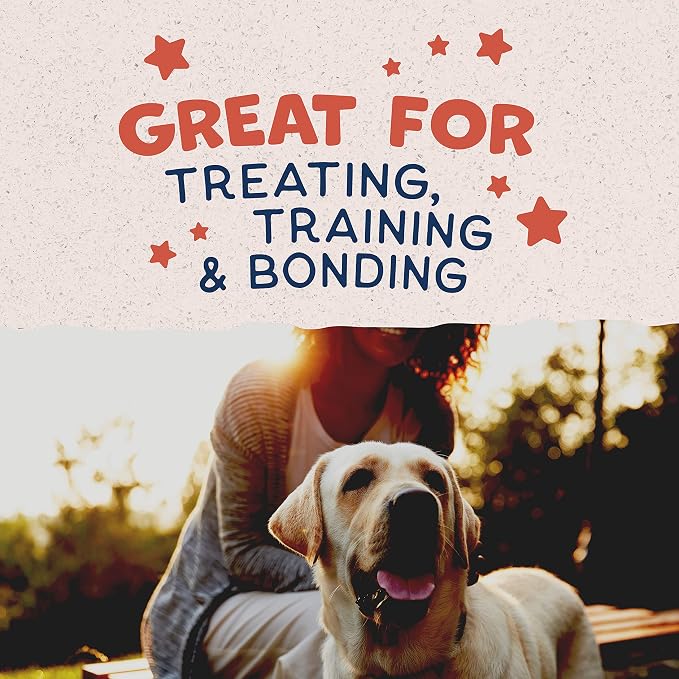 Natural Balance Rewards, Crunchy Biscuits, Salmon, 14 oz | Grain-Free Dog Treats for Adult Dogs, Limited-Ingredient Recipe, Made with Real Ingredients, Great for Training