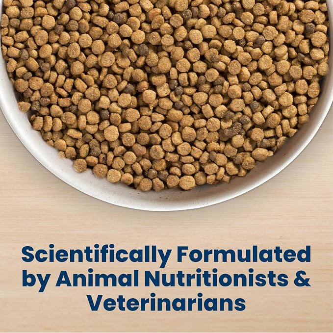 Blue Buffalo Life Protection Formula Small Bite Chicken Dry Dog Food, 15 lb | Smaller Kibble for Easier Chewing, Real Chicken #1 Ingredient, Supports Immunity with Antioxidant-Rich LifeSource Bits