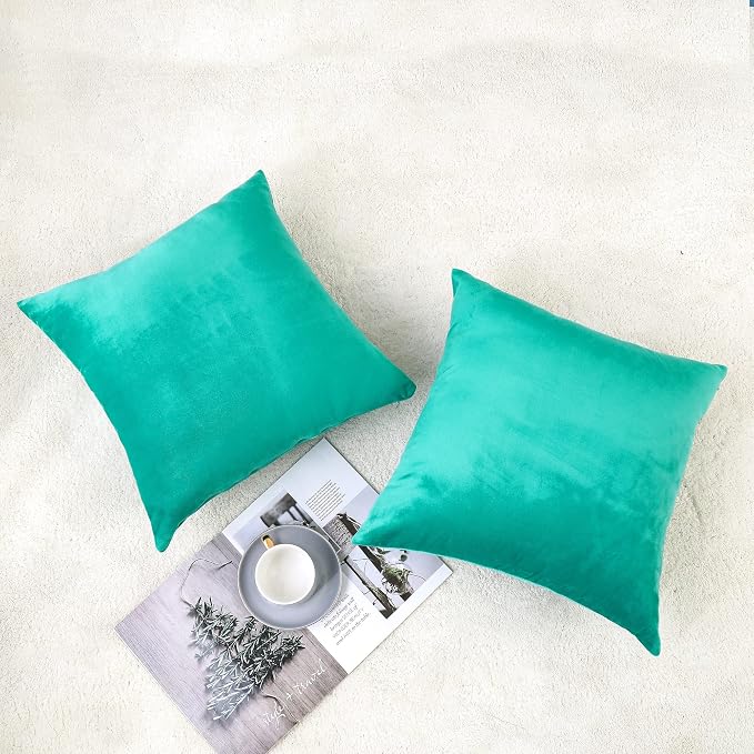 NiNi ALL Aqua Green Velvet Throw Pillow Covers 28x28 Pack of 2 Decorative | Couch Soft Solid Boho Cushion Squar Pillow Cases for Chair Sofa Bedroom Farmhouse Living room Modern Luxury Home Christmas