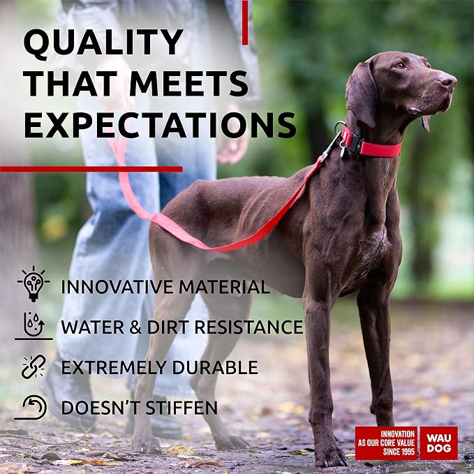 WAUDOG Waterproof Dog Collar Airtag Holder QR Tag Small Medium Large Dogs | Water and Dirt Resistant, Quick Dry QR Pet Tag Adjustable Durable Comfort for Male and Female Dogs Outdoor Walking Training