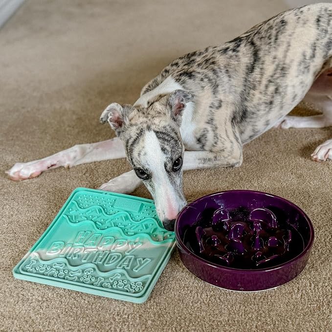 CHEWFFON Dog & Cat Lick Mat, Birthday Silicone Licky Pad, Seafoam Mist