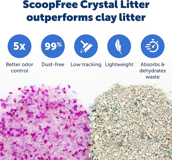 PetSafe ScoopFree Crystal Litter Tray Refills – Lavender Crystals, 3-Pack – Disposable Tray – Includes Leak Protection & Low Tracking Litter – Absorbs Odors on Contact | No-Scoop Crystal Cat Litter, 5x Faster Odor Control, 99% Dust-Free, Easy Cleanup, ...