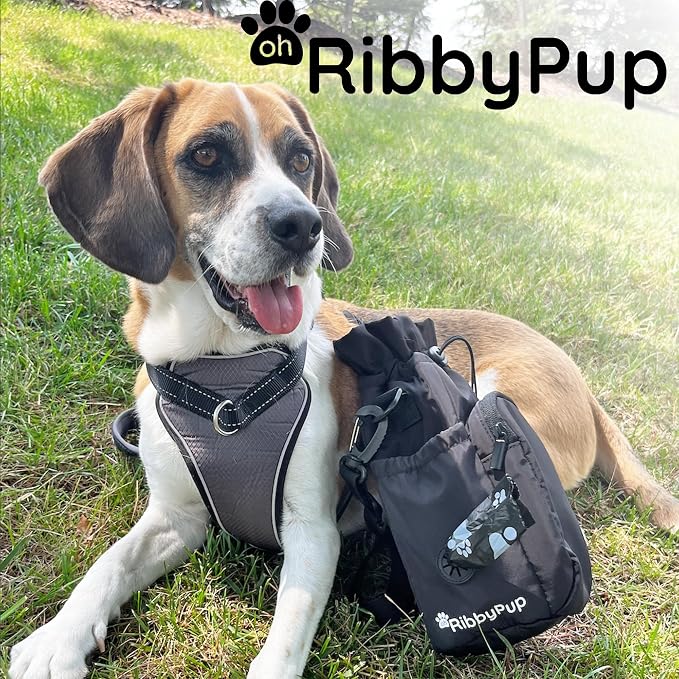 Waterproof Dog Walking Bag with Universal Water Bottle Holder, Built in Poop Bag Dispenser, Unisex Cross Body Treat Pouch for Hiking Training Sport (Gray)
