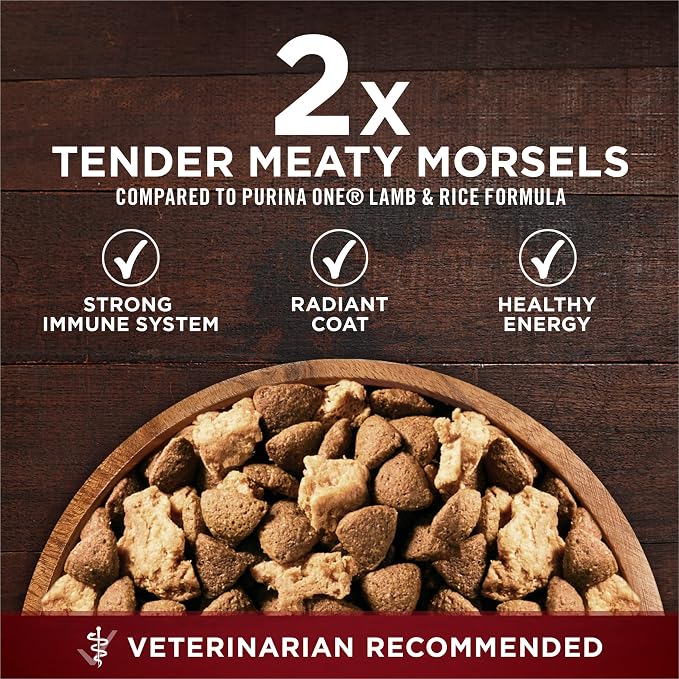 Purina ONE True Instinct High Protein Formula with Real Beef and Salmon Dry Dog Food - (4) 3.8 lb. Bags | Nutrient dense, with 32% protein for strong muscles, natural with added vitamins, minerals and nutrients