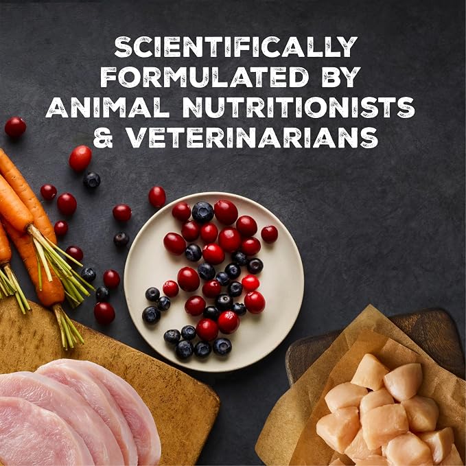 Blue Buffalo Wilderness Chicken & Turkey Wet Cat Food, 3 oz, 24 ct | Wild Delights Meaty Morsels in Tasty Gravy, High Protein & Grain-Free Recipe, Made with Natural Ingredients